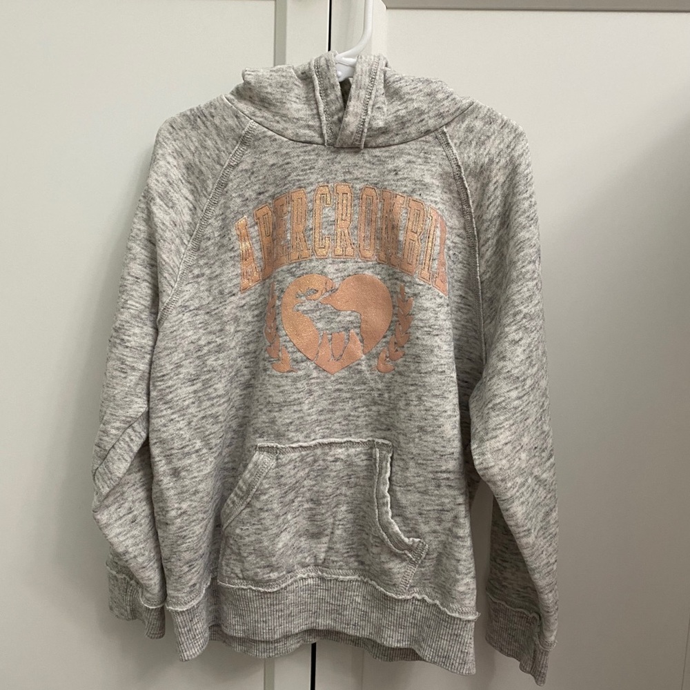 Abercrombie Kids Hoodie
